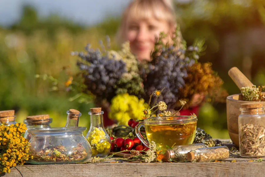 Brewing herbal tea